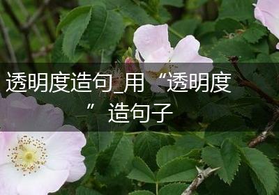 透明度造句_用“透明度”造句子