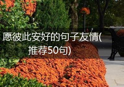 愿彼此安好的句子友情(推荐50句)
