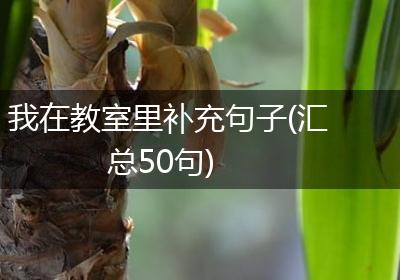 我在教室里补充句子(汇总50句)