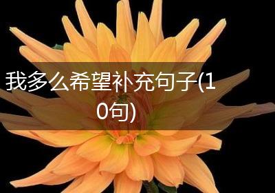 我多么希望补充句子(10句)