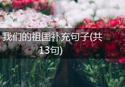 我们的祖国补充句子(共13句)
