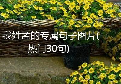 我姓孟的专属句子图片(热门30句)