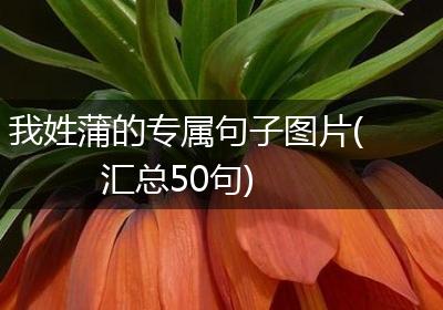 我姓蒲的专属句子图片(汇总50句)