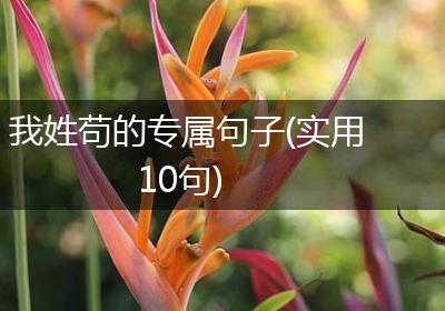 我姓苟的专属句子(实用10句)