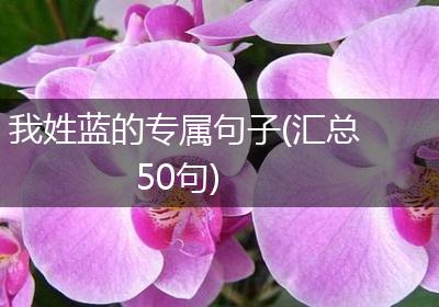 我姓蓝的专属句子(汇总50句)