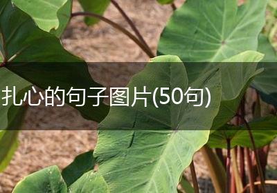 扎心的句子图片(50句)