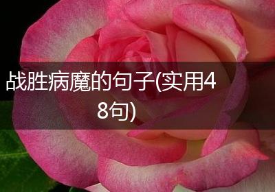 战胜病魔的句子(实用48句)