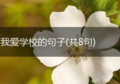 我爱学校的句子(共8句)