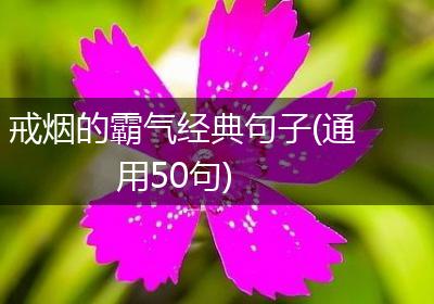 戒烟的霸气经典句子(通用50句)