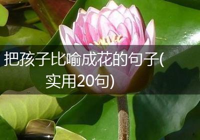把孩子比喻成花的句子(实用20句)