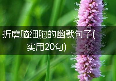 折磨脑细胞的幽默句子(实用20句)
