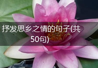 抒发思乡之情的句子(共50句)