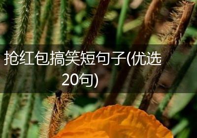 抢红包搞笑短句子(优选20句)