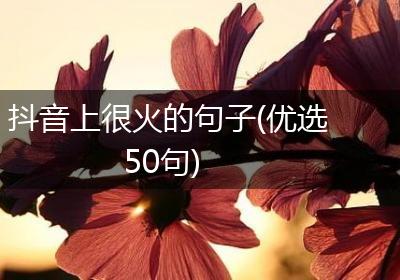 抖音上很火的句子(优选50句)