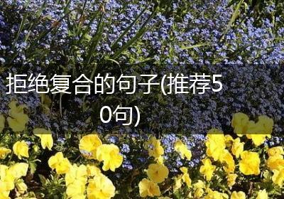 拒绝复合的句子(推荐50句)