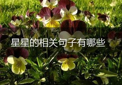 星星的相关句子有哪些