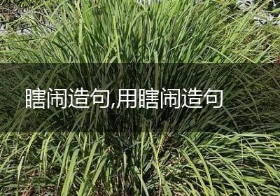 瞎闹造句,用瞎闹造句