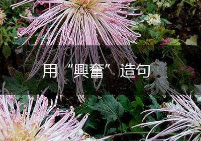 用“興奮”造句
