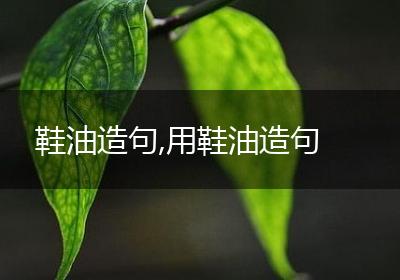 鞋油造句,用鞋油造句