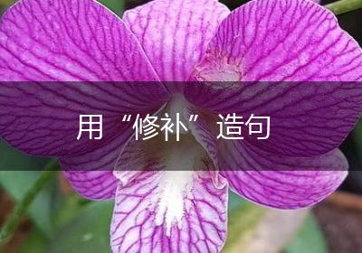 用“修补”造句