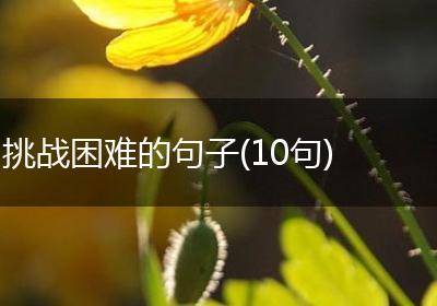 挑战困难的句子(10句)