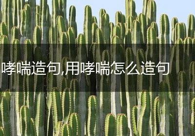 哮喘造句,用哮喘怎么造句