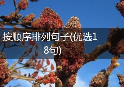按顺序排列句子(优选18句)