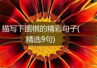 描写下围棋的精彩句子(精选9句)
