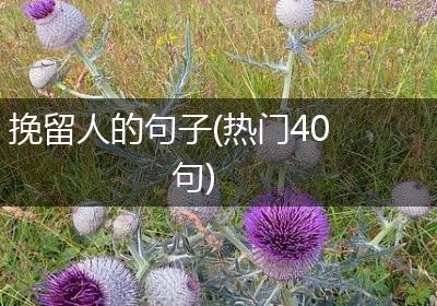 挽留人的句子(热门40句)