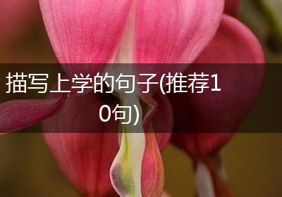 描写上学的句子(推荐10句)