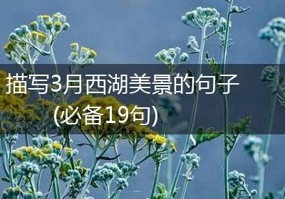 描写3月西湖美景的句子(必备19句)