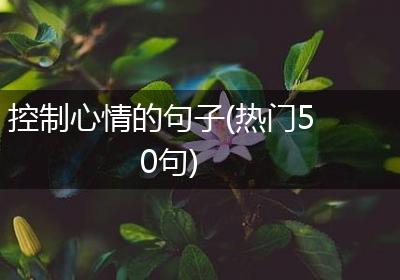 控制心情的句子(热门50句)