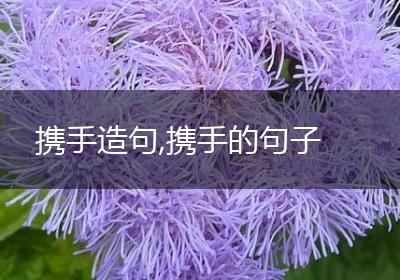 携手造句,携手的句子