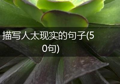描写人太现实的句子(50句)