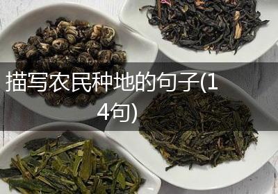 描写农民种地的句子(14句)