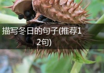 描写冬日的句子(推荐12句)