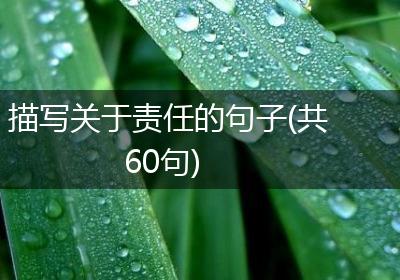 描写关于责任的句子(共60句)