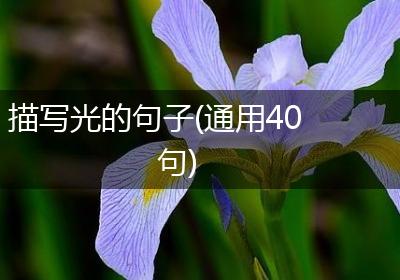 描写光的句子(通用40句)
