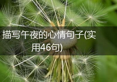 描写午夜的心情句子(实用46句)