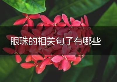 眼珠的相关句子有哪些