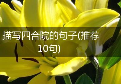 描写四合院的句子(推荐10句)