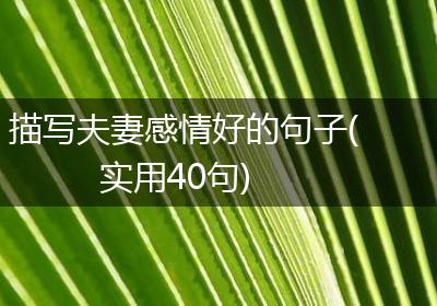 描写夫妻感情好的句子(实用40句)