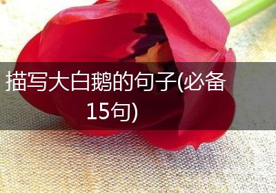 描写大白鹅的句子(必备15句)