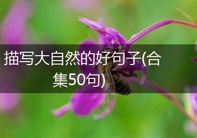描写大自然的好句子(合集50句)