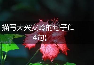 描写大兴安岭的句子(14句)