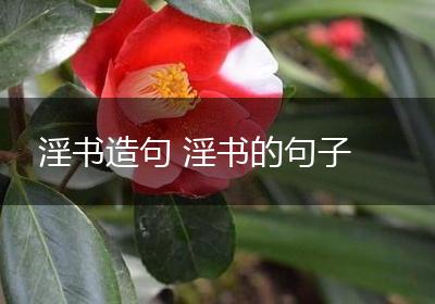 淫书造句 淫书的句子