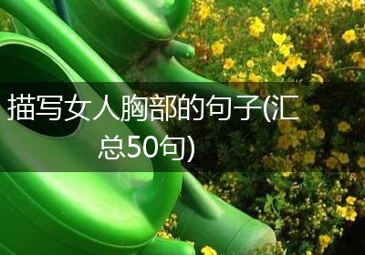描写女人胸部的句子(汇总50句)
