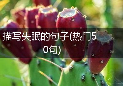 描写失眠的句子(热门50句)