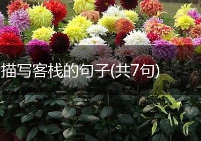 描写客栈的句子(共7句)