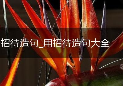 招待造句_用招待造句大全